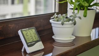 A humidity meter on a cabinet next to two plants