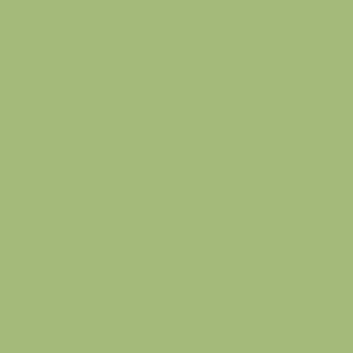 lime wash paint swatch