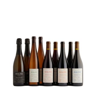 Avaline Wine, The Holiday Collection