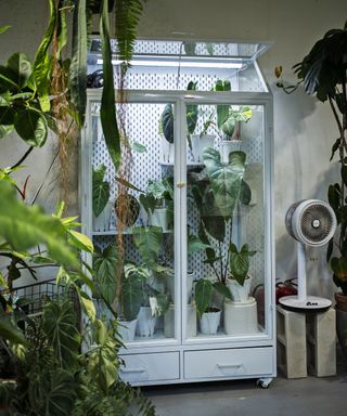 Cabinet upcycled into mini greenhouse