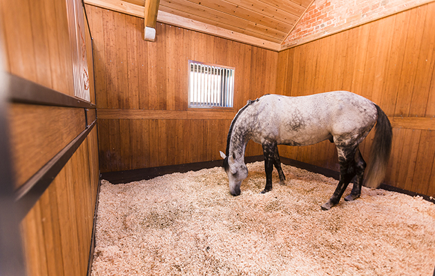 The stables