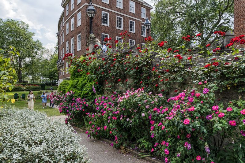 Gardens open as part of the London Gardens Trust