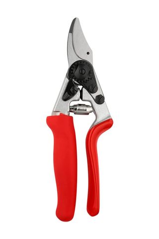 Best garden shears: Image of shears