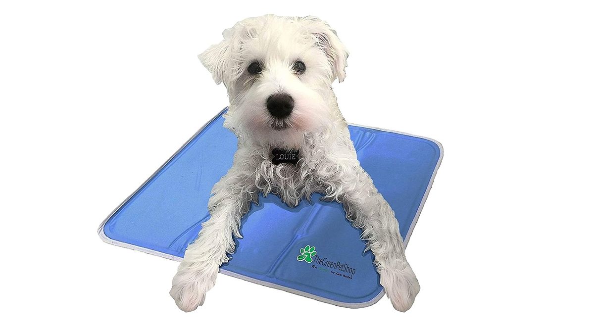 Best cooling mats for dogs Selfcooling mats, pads and beds PetsRadar