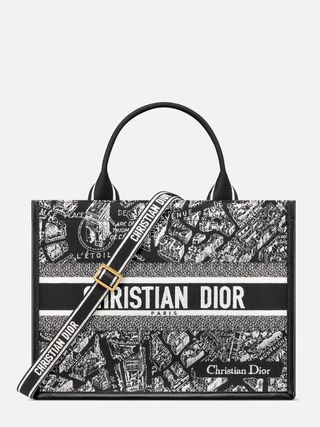 DIor + Medium Dior Book Tote