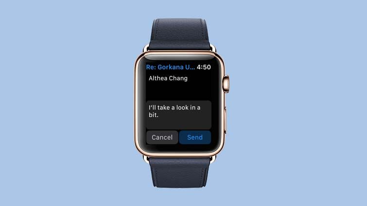 how to delete mail storage on apple watch