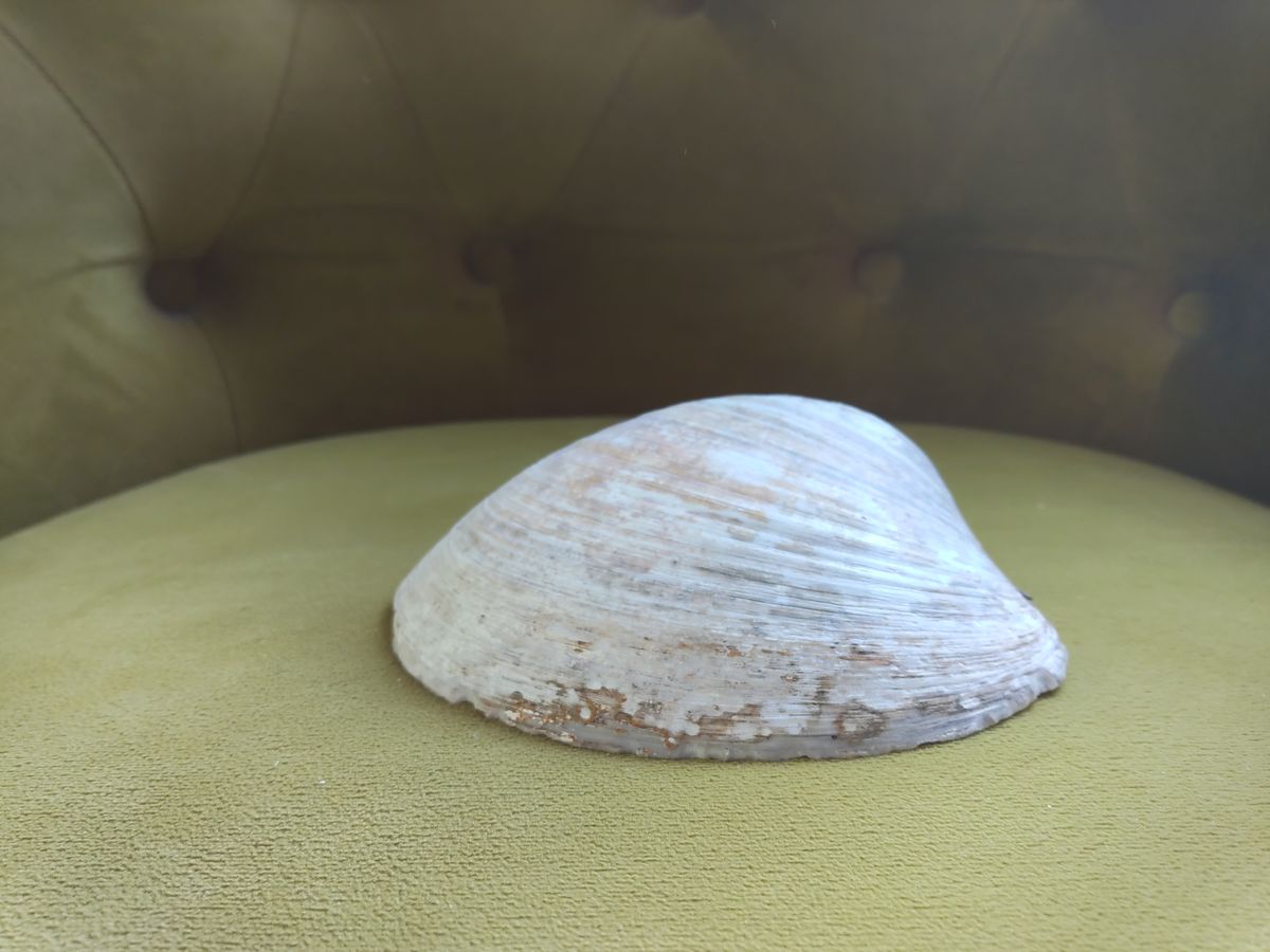 An image taken using the Boox Palma 2