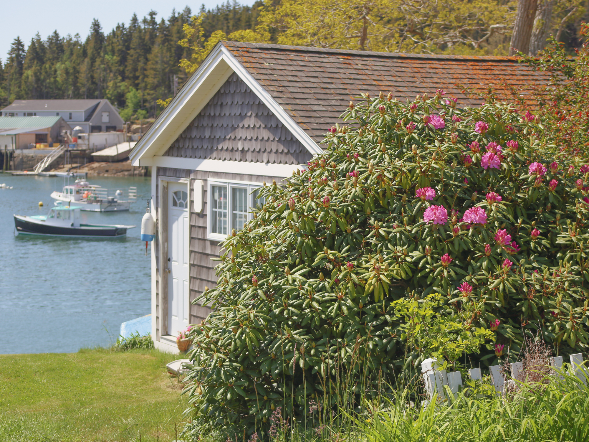 A charming shingle fishing or boat hut next to the port. Life in a fishing village, Stonington, Maine.