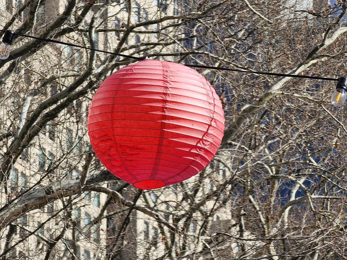 Samsung Galaxy S22 Ultra optical zoom test