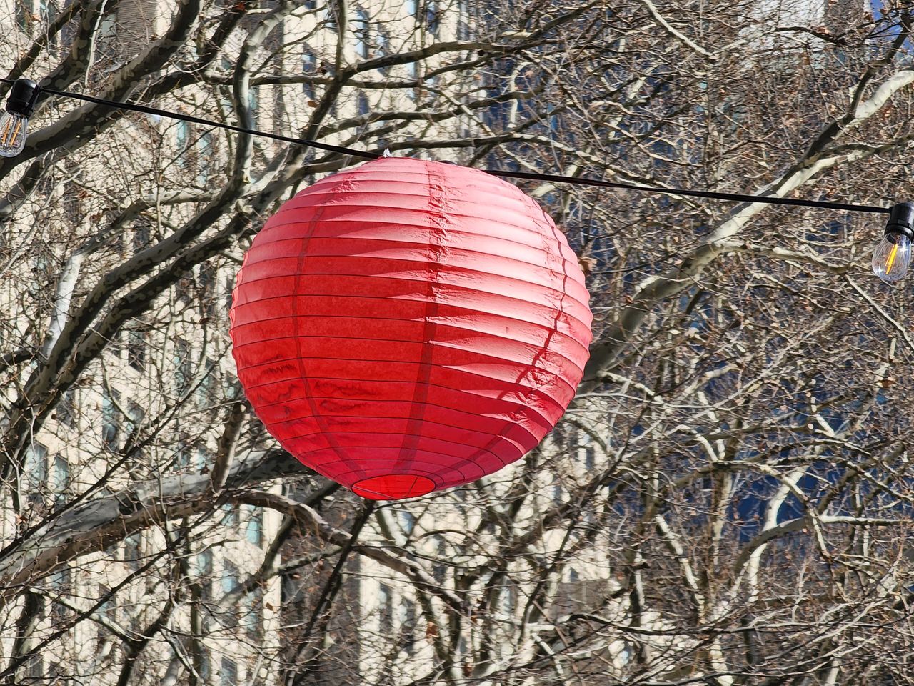 Samsung Galaxy S22 Ultra optical zoom test