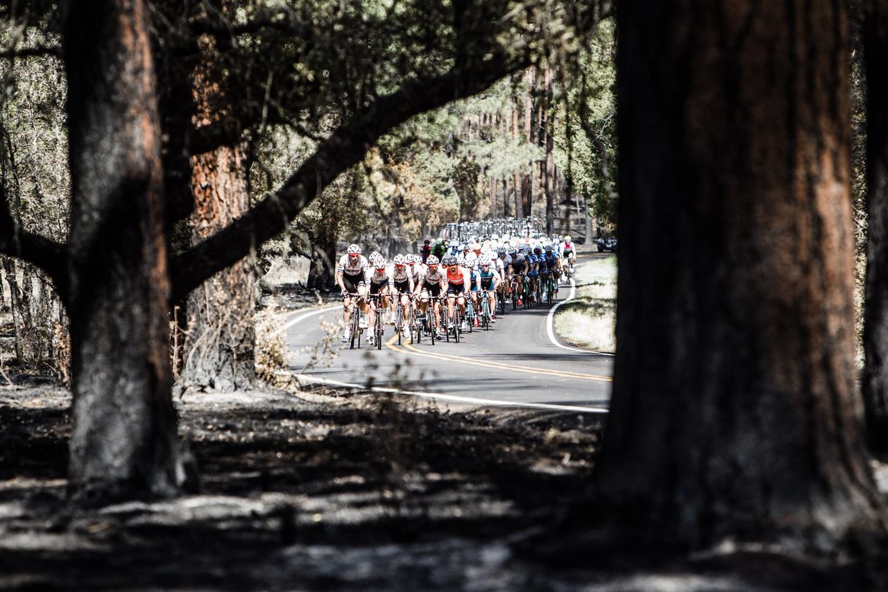 The peloton heads through the Gila forest