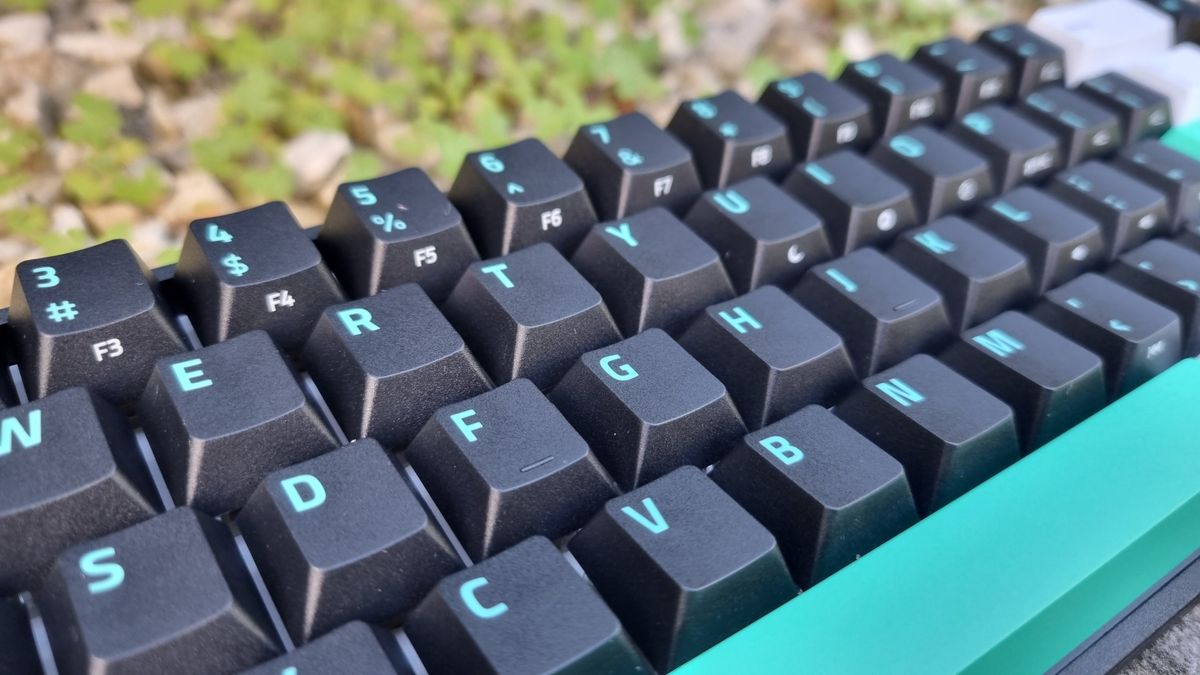 A close up of the keycaps on the Razer Reclusa X Mini