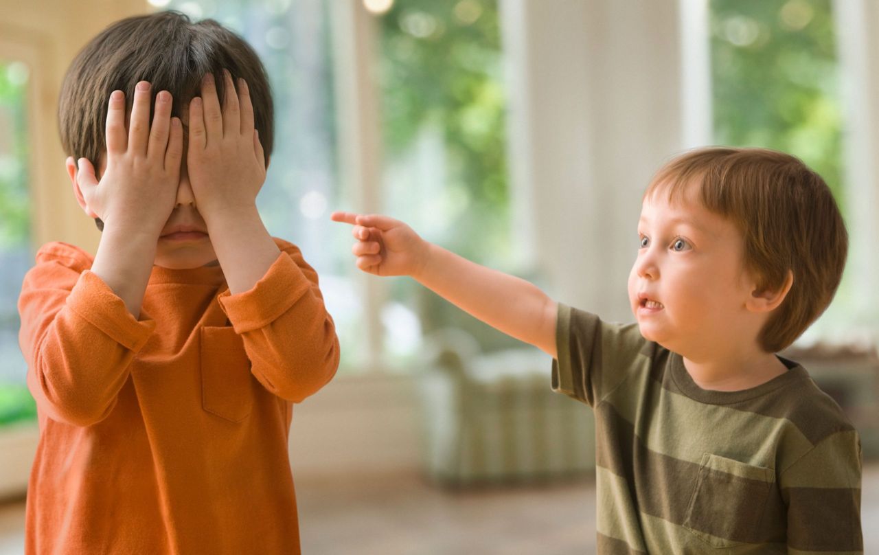 siblings fighting