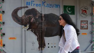US pop singer Cher walks past the crate containing Kaavan the Asian elephant upon his arrival in Cambodia from Pakistan at Siem Reap International Airport in Siem Reap on November 30, 2020.