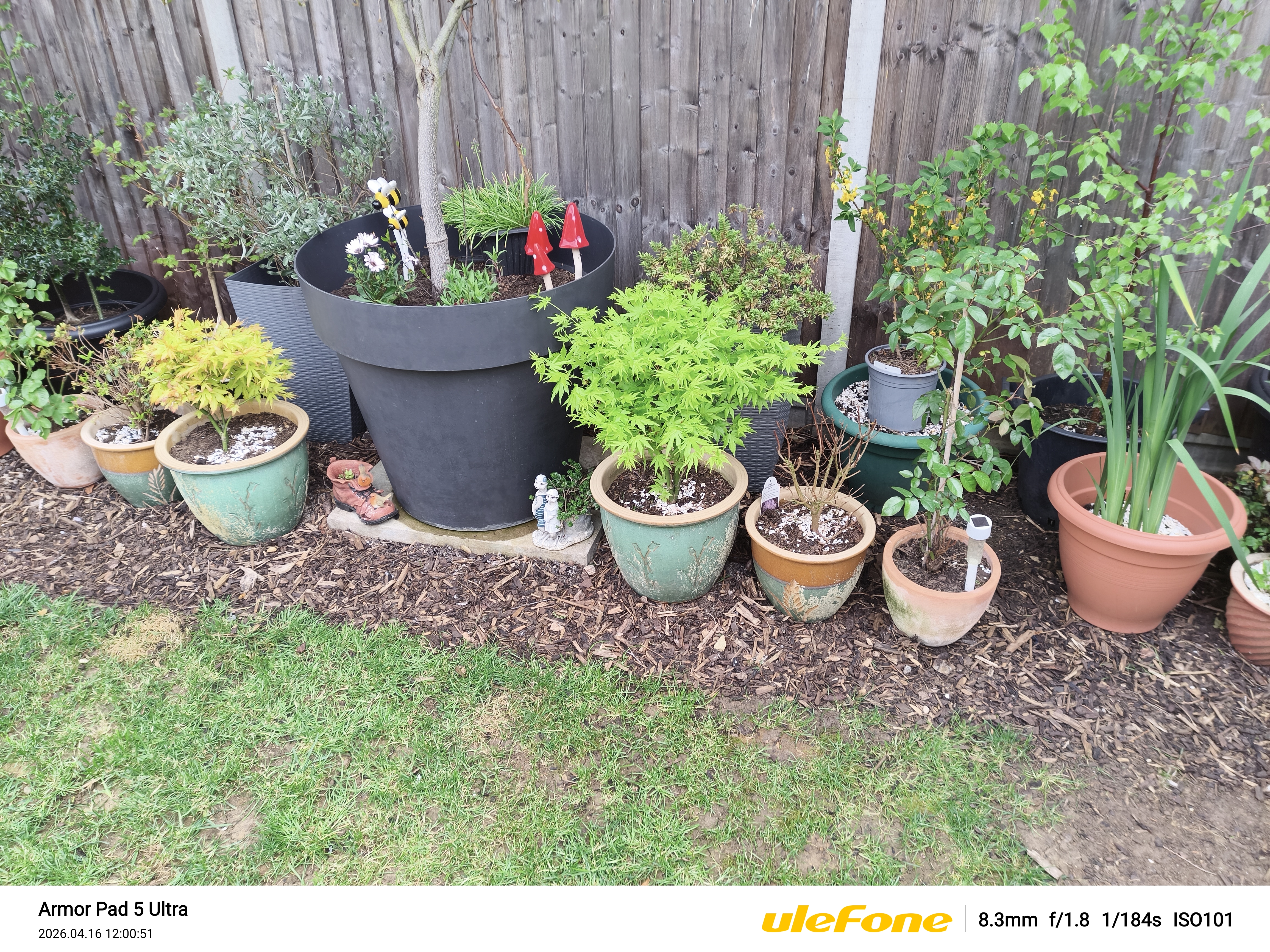 Ulefone Armor Pad 5 Ultra Photo Examples