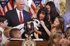 Mike Pence and his family pet their rabbit.