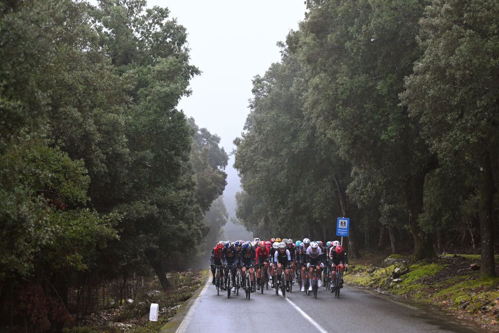 The Trofeo Serra Tramuntana peloton