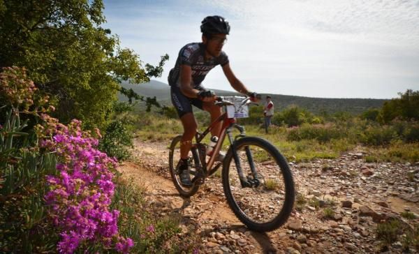 Max Knox passes some veld flowers