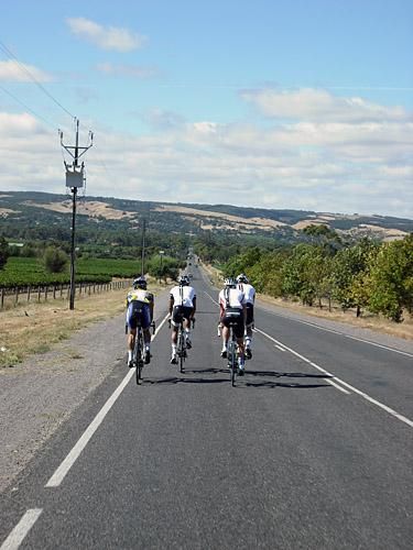 The road from McLaren Vale to Willunga will be hit by crosswinds but it's a downhill run before the town and the climb.