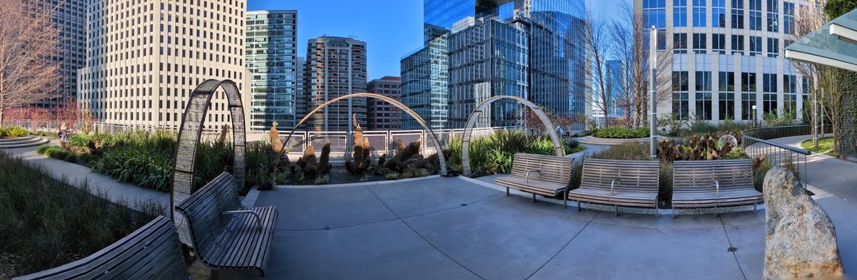 Pixel 8a salesforce park panorama