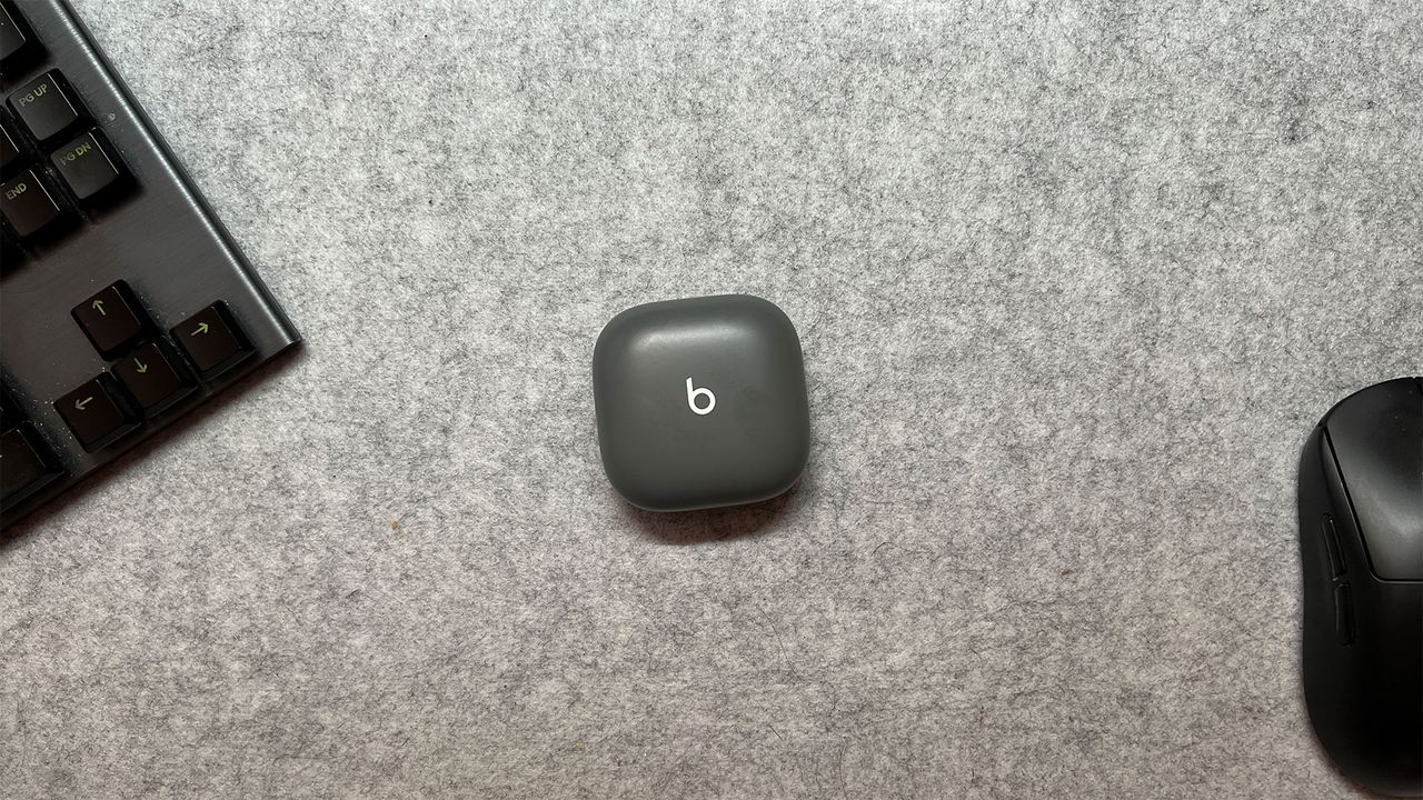 Beats fit pro in case