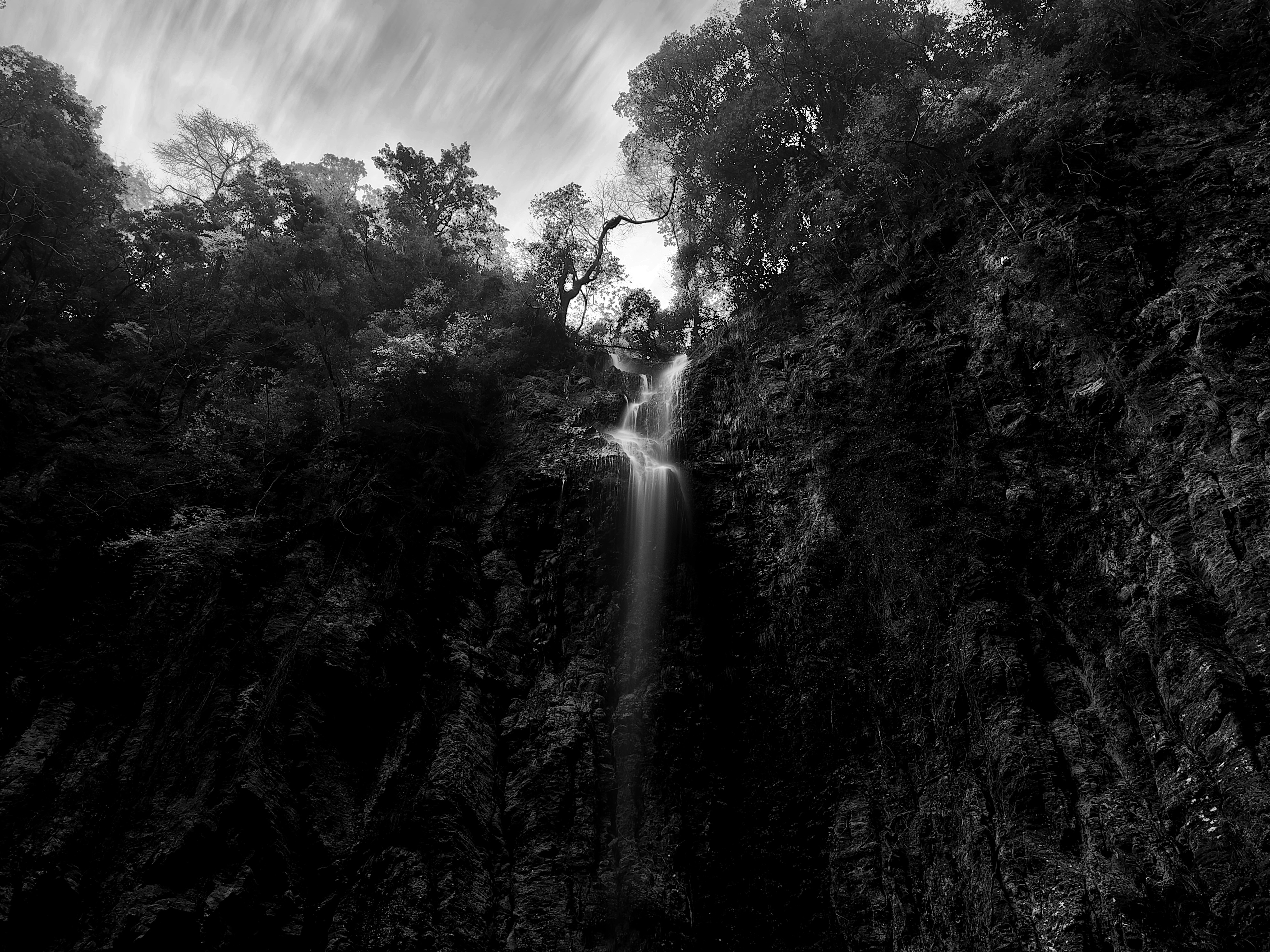 A waterfall surrounded by trees in black and white