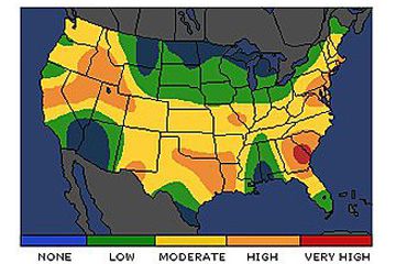 weather, warm weather, allergies, pollen