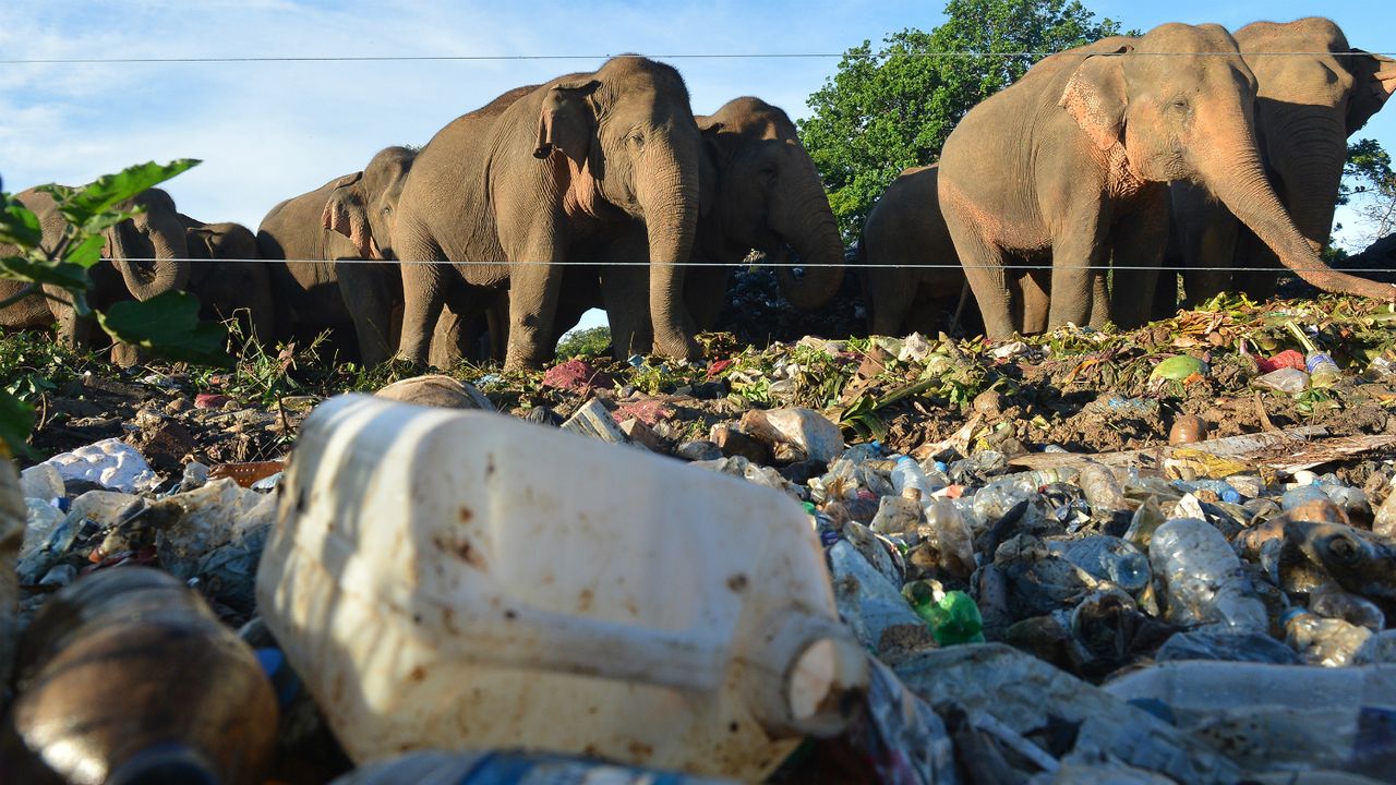 sri_lanka_plastic.jpg