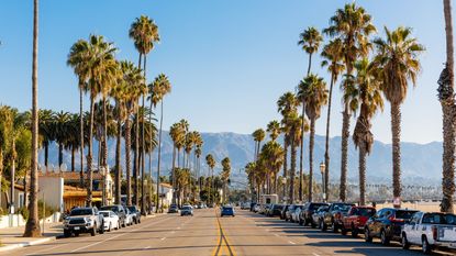 A California street with mountains in the background framed by palm trees. 