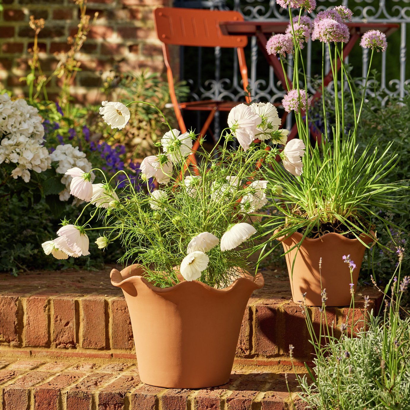 Habitat Scalloped 28.5cm Clay Planter &amp;ndash; Large