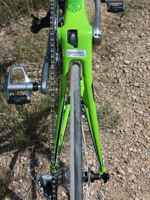 Chain stays are radically asymmetrical with the driveside one being both narrower and taller than the non-driveside one