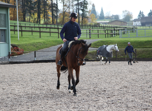 Behind the scenes with Olympic champion Steve Guerdat