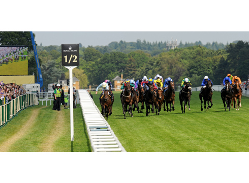 Royal Ascot 2014: Saturday 21 June