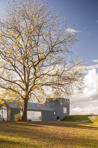 Grey coloured cottage exterior and tree