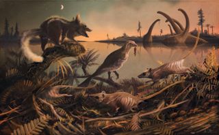 The earliest ancestors of eutherian mammals were small rat-like creatures (depicted in this illustration) that lived 145 million years ago in the shadow of the dinosaurs.
