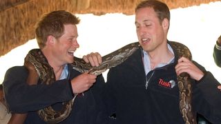 Princes William and Harry holding a snake
