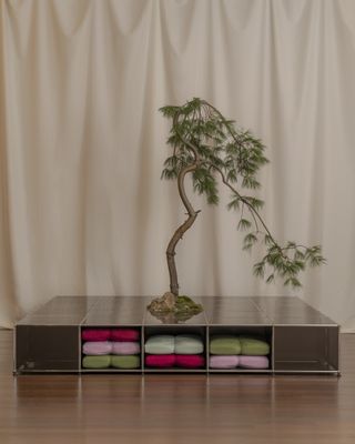 Comme Si for USM Modular Furniture storage case with a small tree