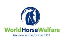 worldhorsewelfare.jpg