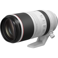 Canon RF 100-500mm f/4.5-7.1L IS USM: $2,699