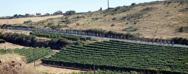 The Vuelta passed the Rioja region on stage 13