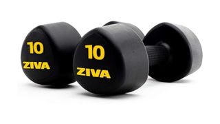 Ziva dumbbells