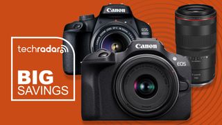 Canon cameras and lenses on organe background next to big savings text