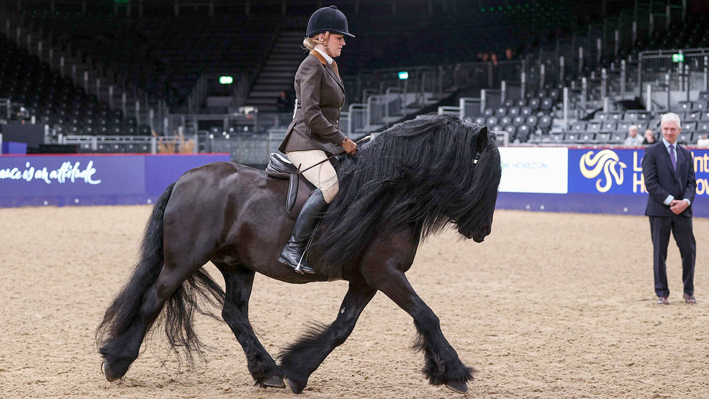 HorseNo_308_LIHS_PN24_182836