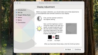 Screengrab of instructions for display adjustment