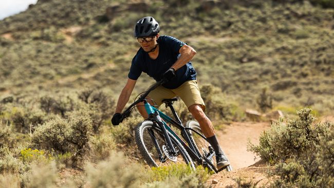 Trek is slashing the number of bikes it offers by 40%. Here's what that ...