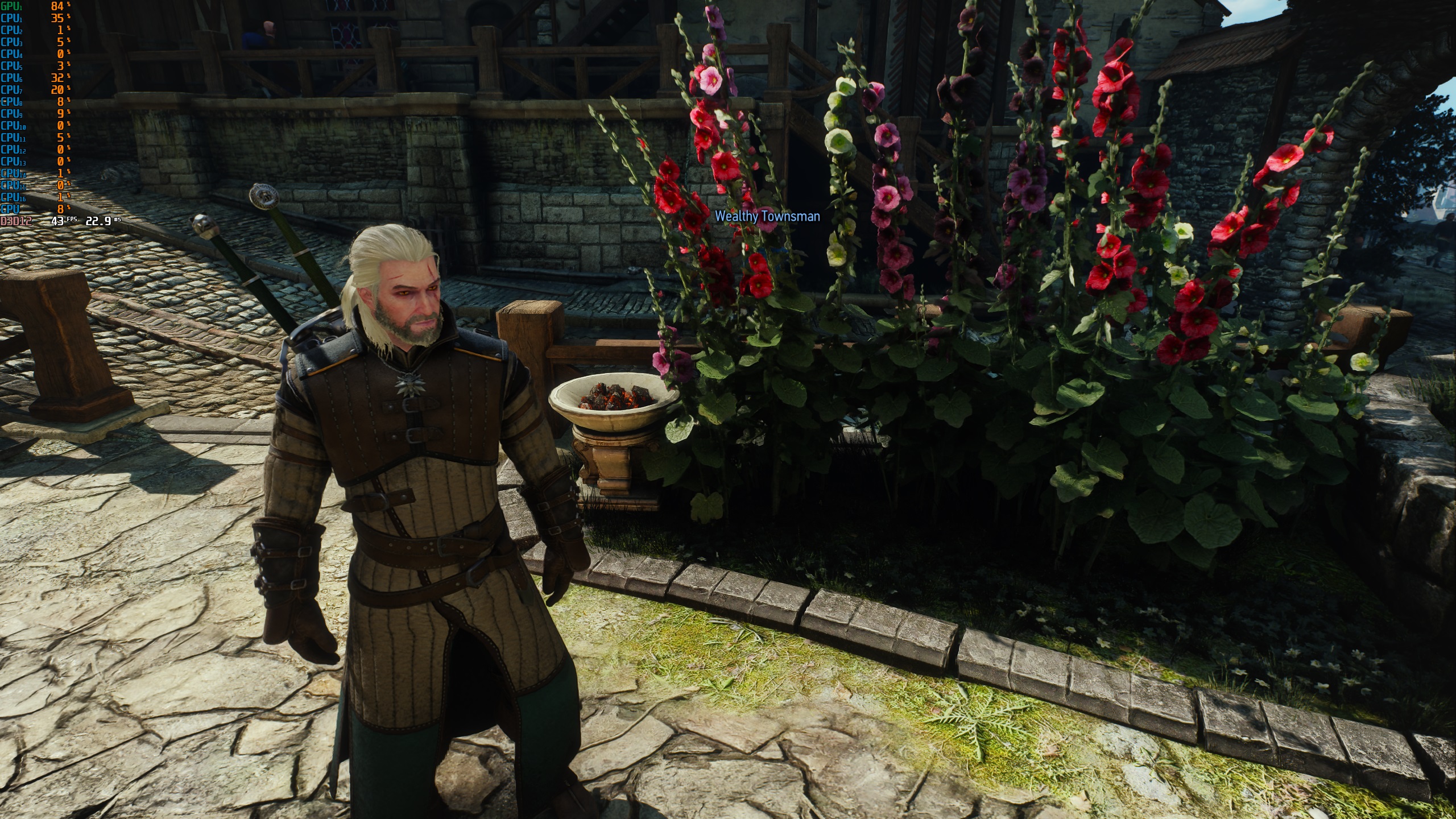 Novigrad witcher 3 screenshot showing foliage with RTAO enabled