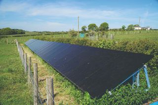 A row of solar panels in a green field