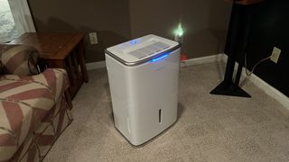 Frigidaire Gallery 50 Pint Dehumidifier with WiFi, in the basement