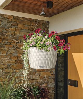 white hanging basket filled with a mix of colorful plants