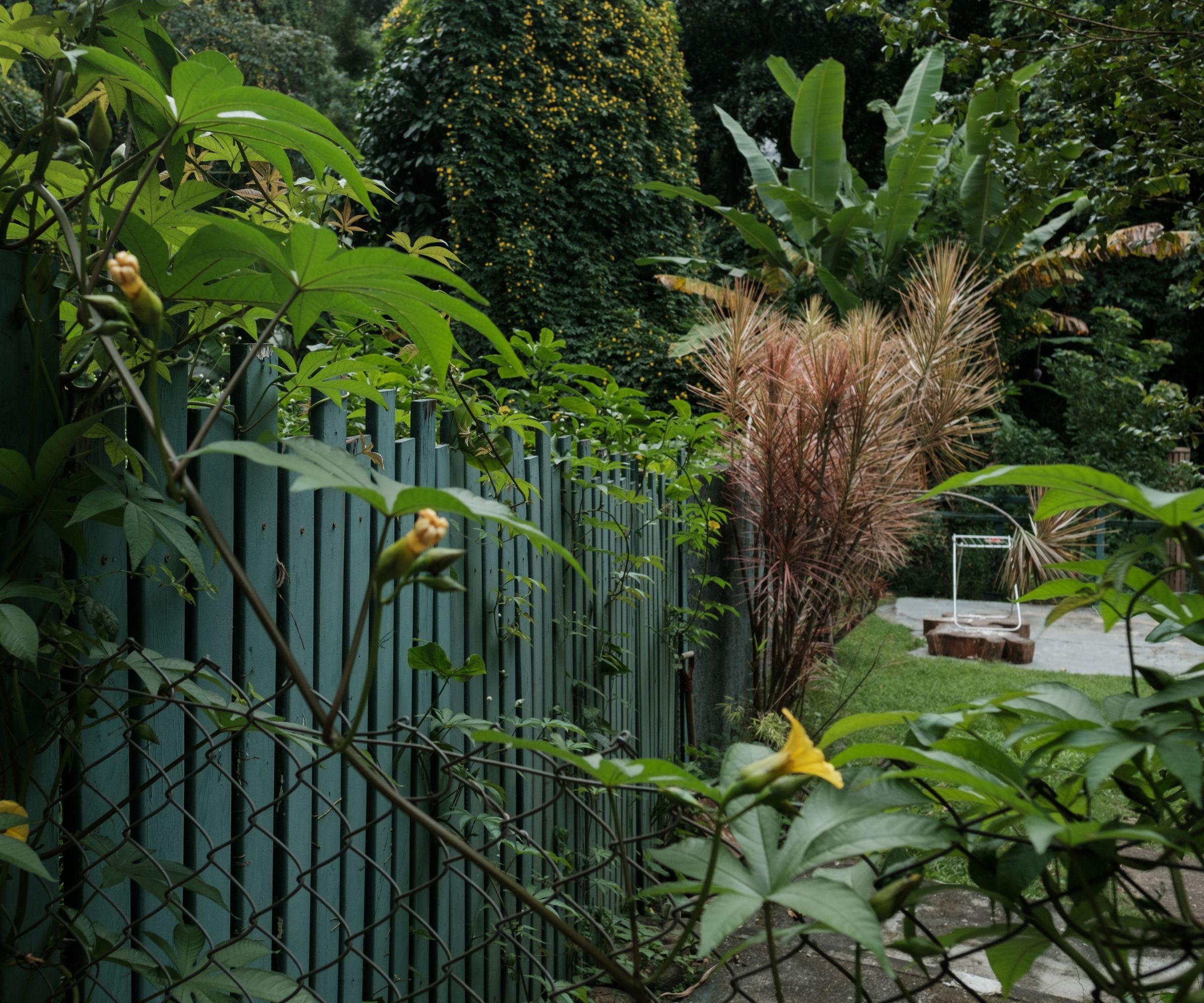 View of the fence of a house considered the next target of eviction at the Horto community in Rio de Janeiro, Brazil, on May 17, 2017.